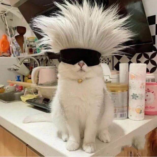 Whatchu lookin at?