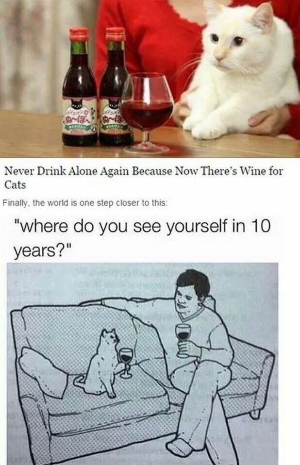 "He spends most of his time alone, drinking cat wine"