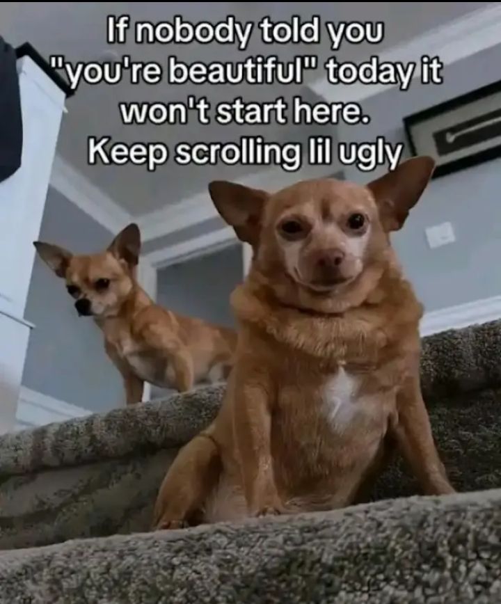 nyehehehe
