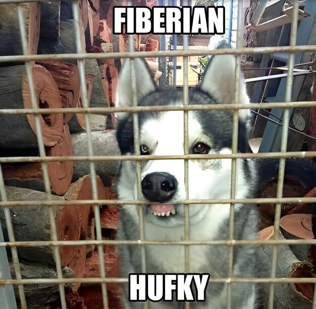 Fwoof
