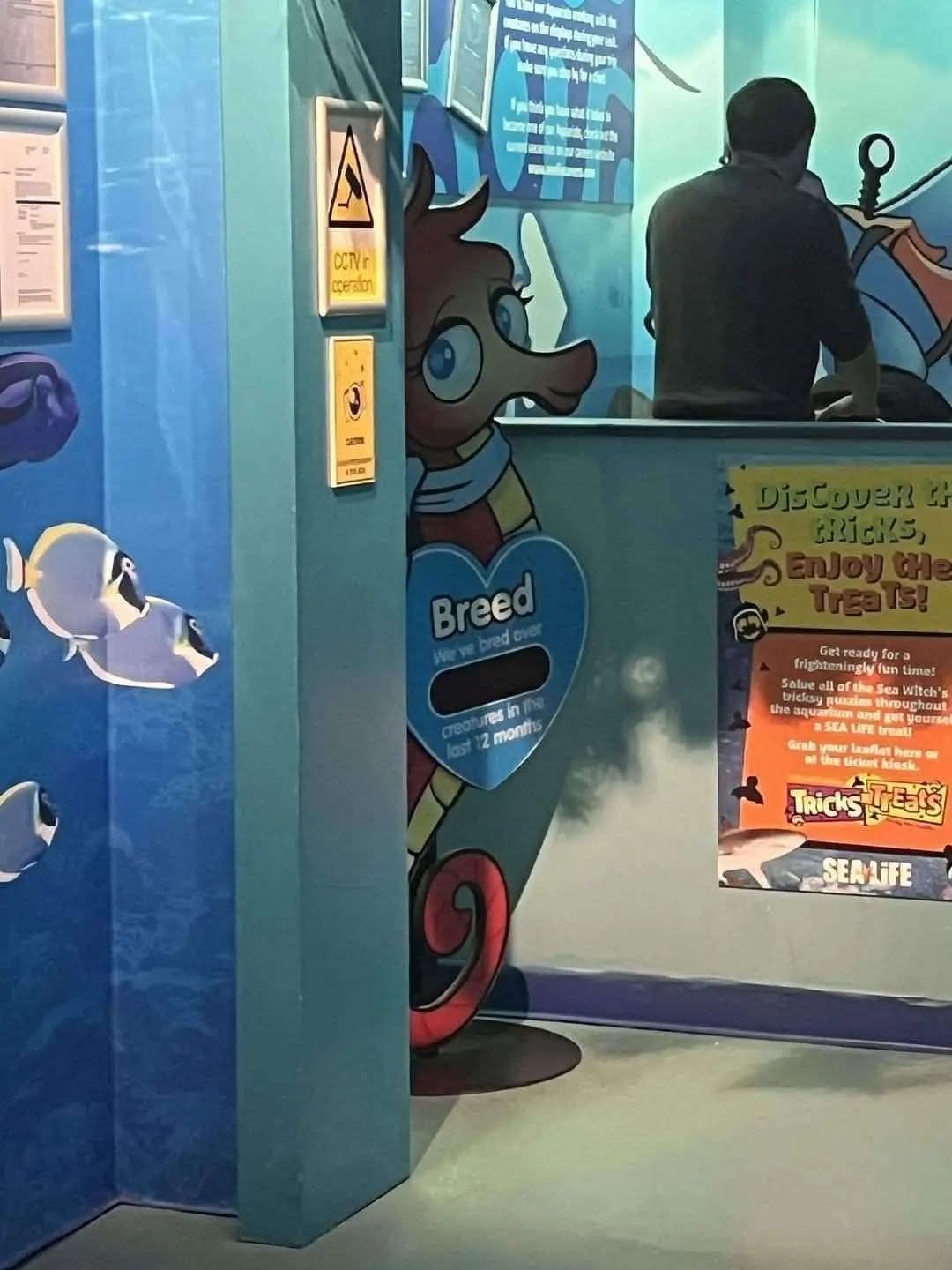 The more you look the worse it gets
