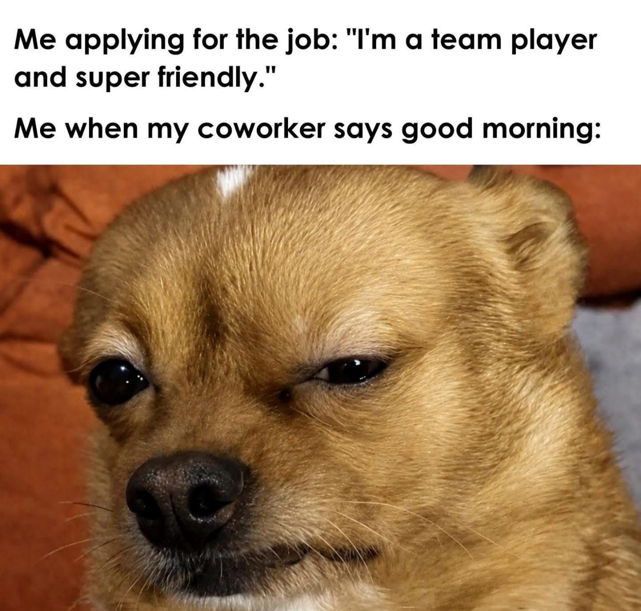 We're like family