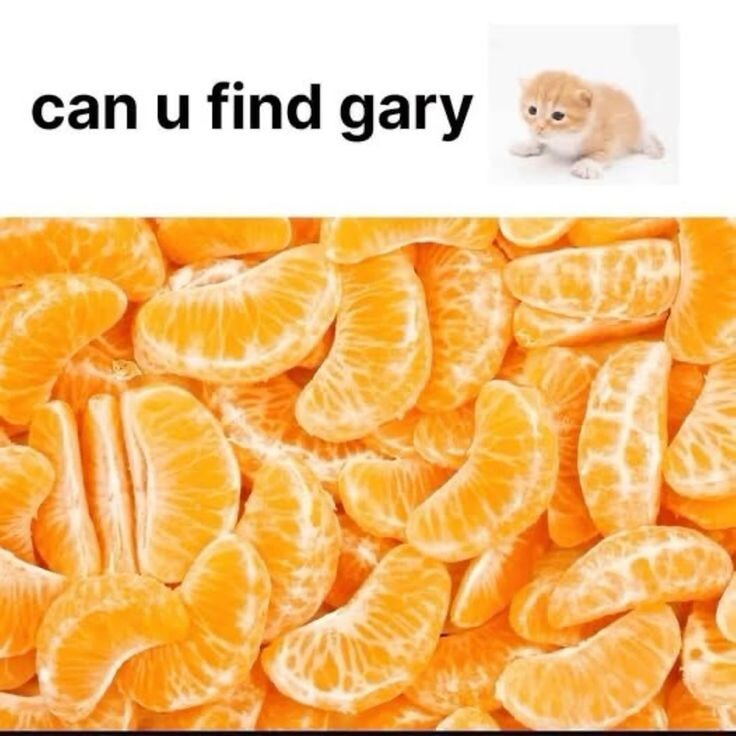 ​​​