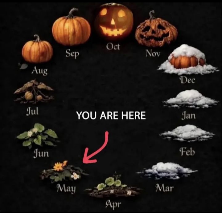 Spoopy