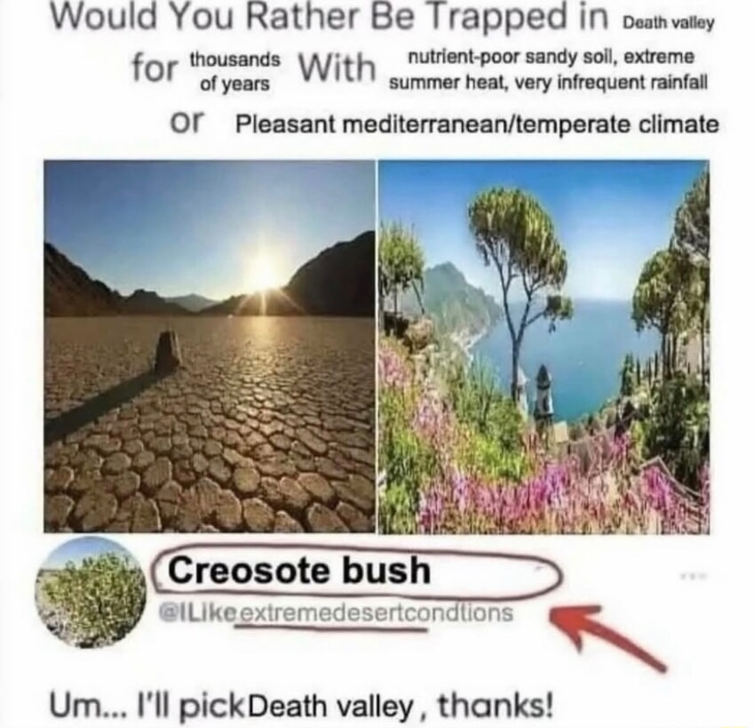 ​​​