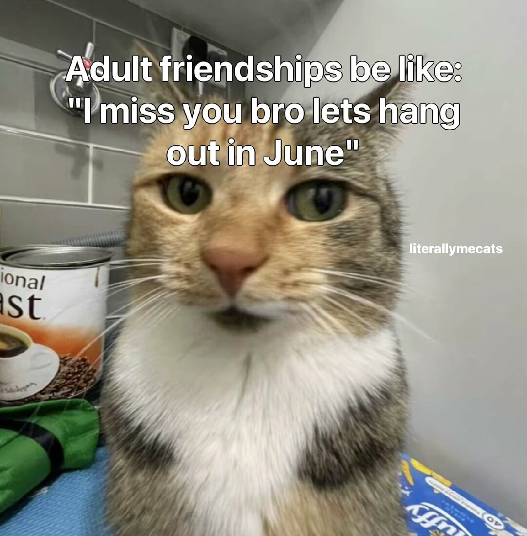 GN!