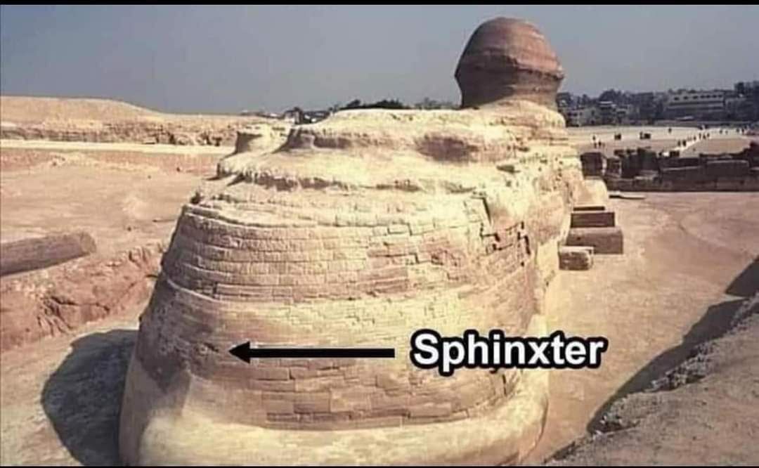 The more you know
