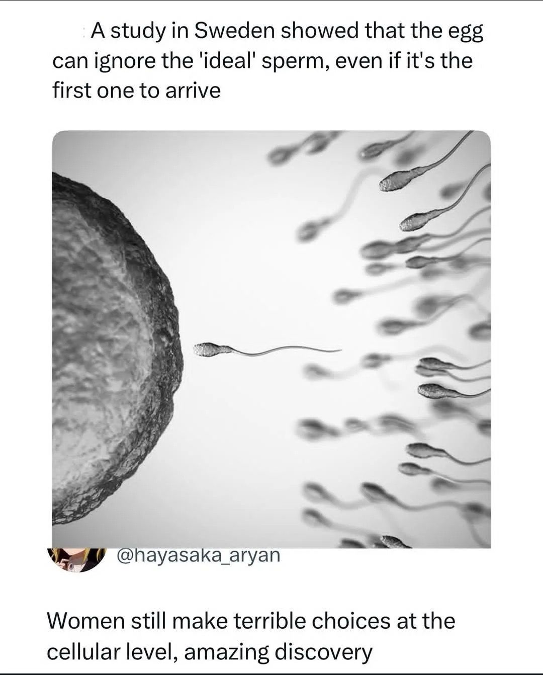 Full circle