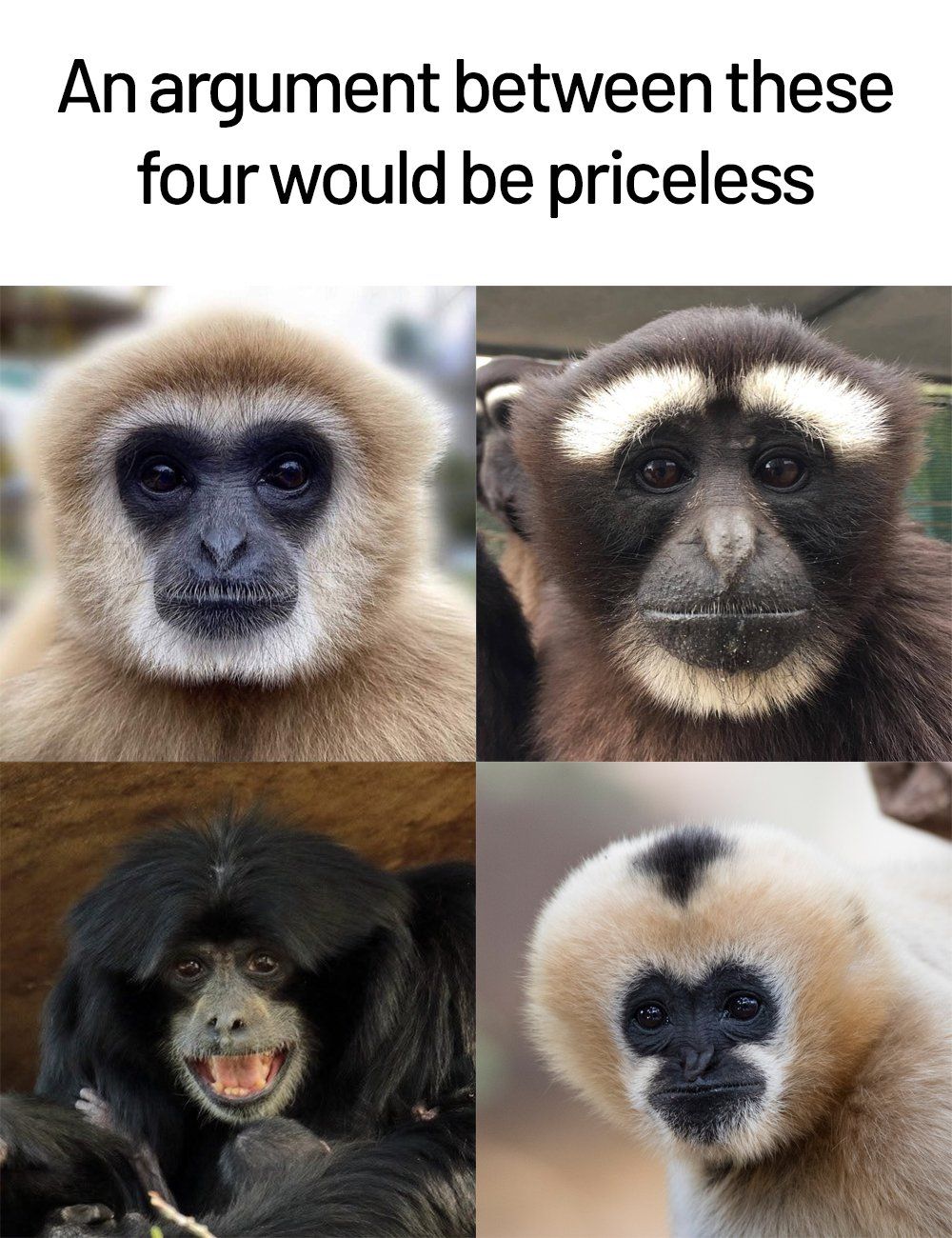 Name the users