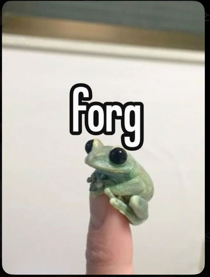 You know what day it is
