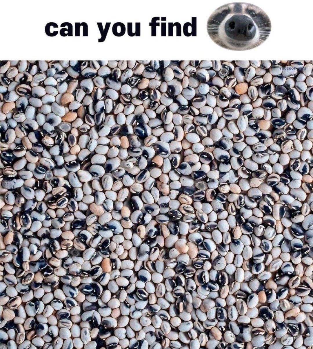 the search