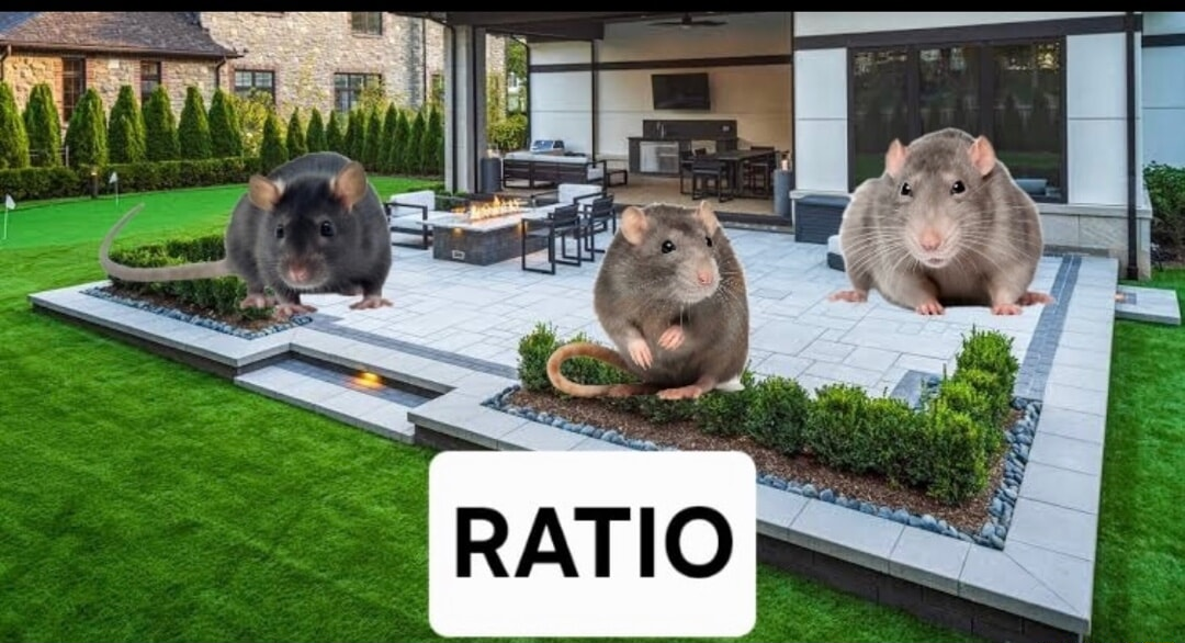 ​​​