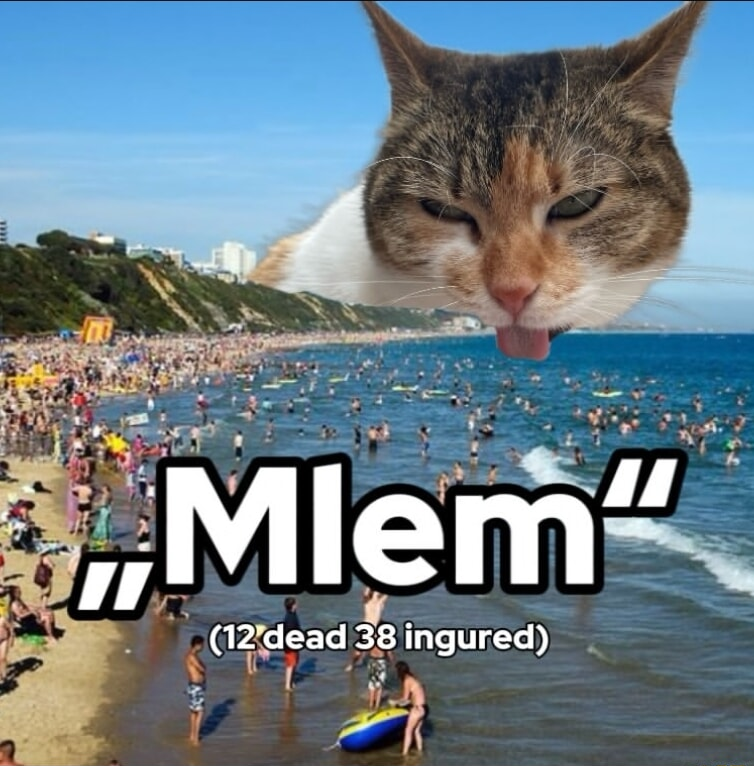 ​​​