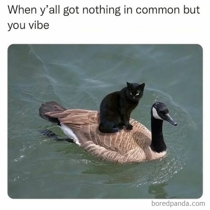 Hugelol in a nutshell
