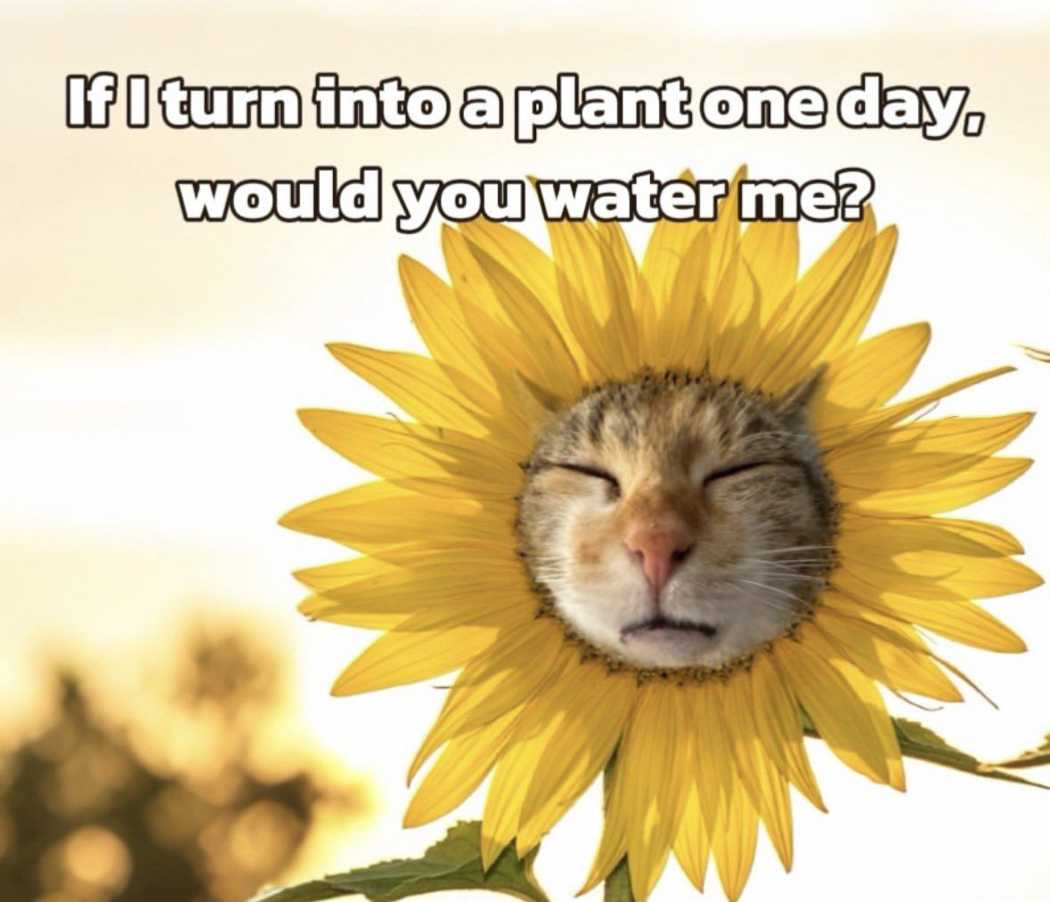 Would u?