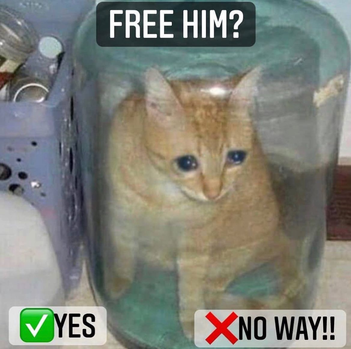 Free the dudders?