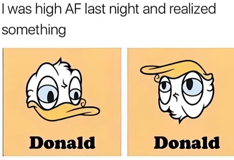 I qu*cking did it again!