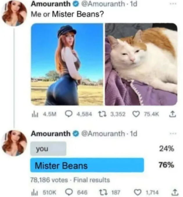 misterbeans appreciation post