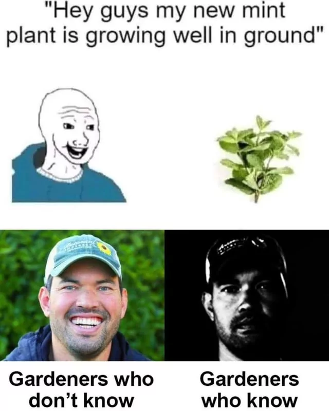 ​​​
