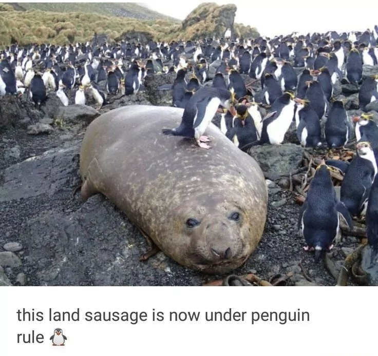 ​​​