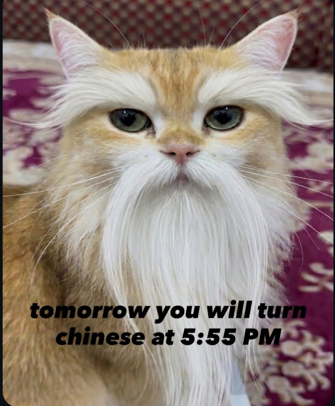 ...