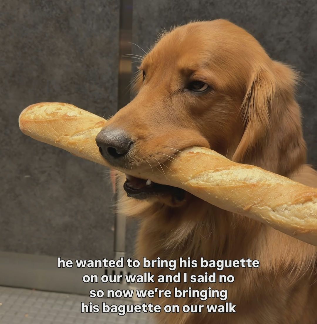 ‎ ‎ ‎