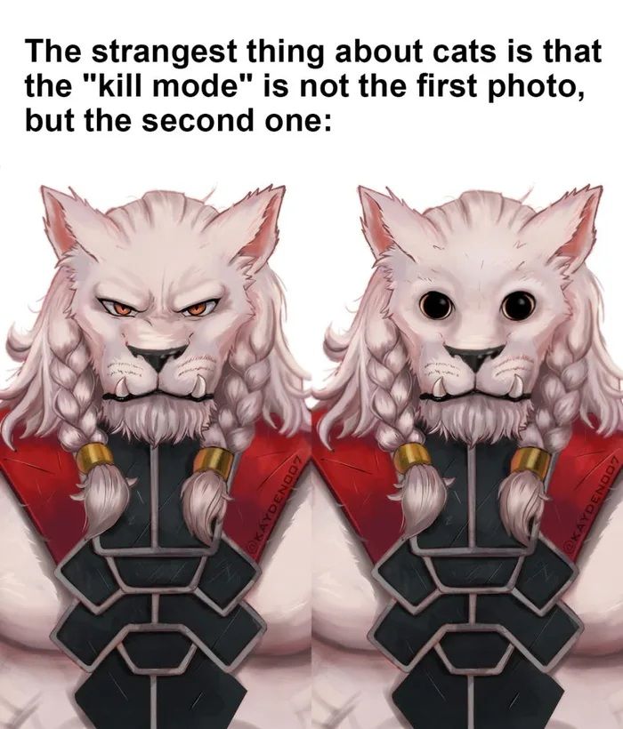 it's to late, you're going to die