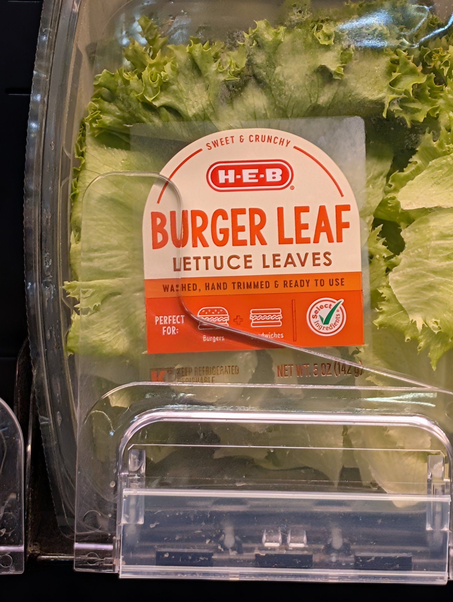 >Explaining lettuce to an American