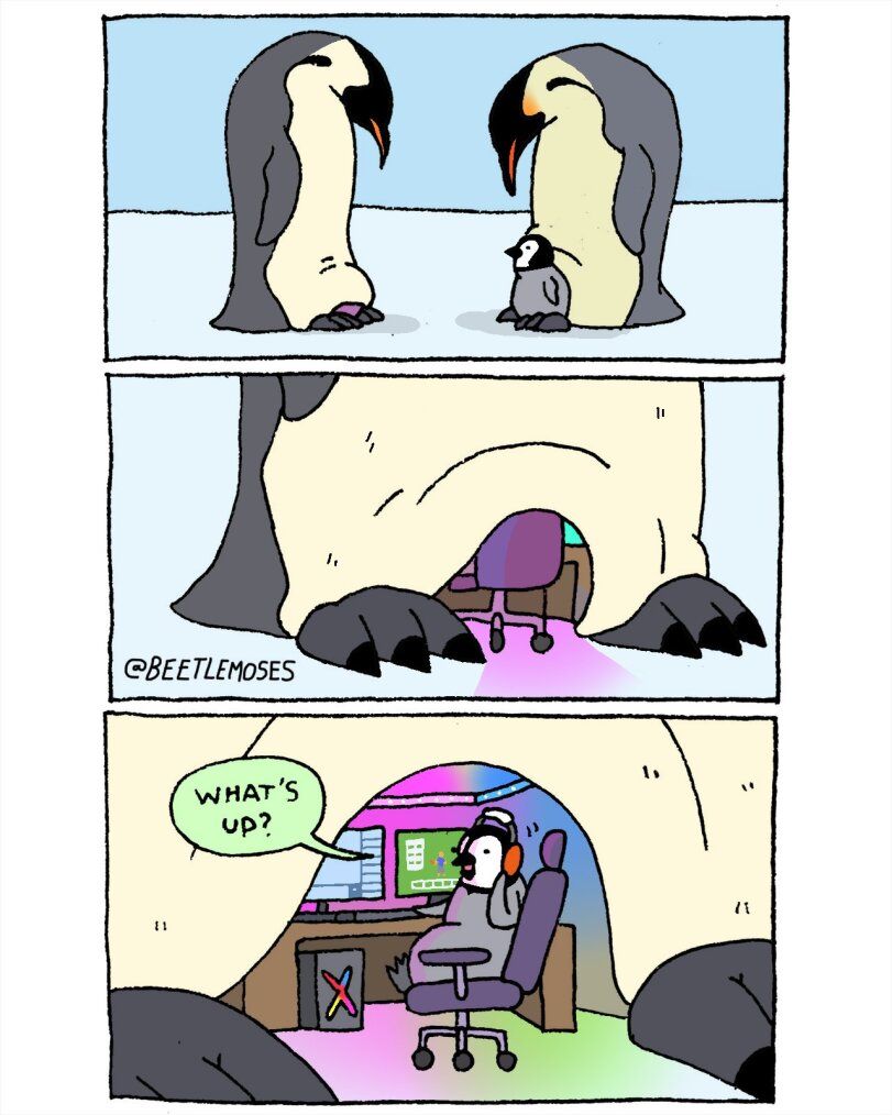 ​​​