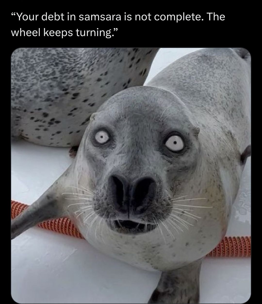 ***