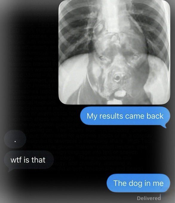 show me the dog in you