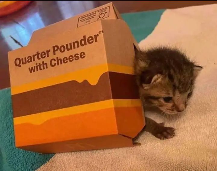 GN!