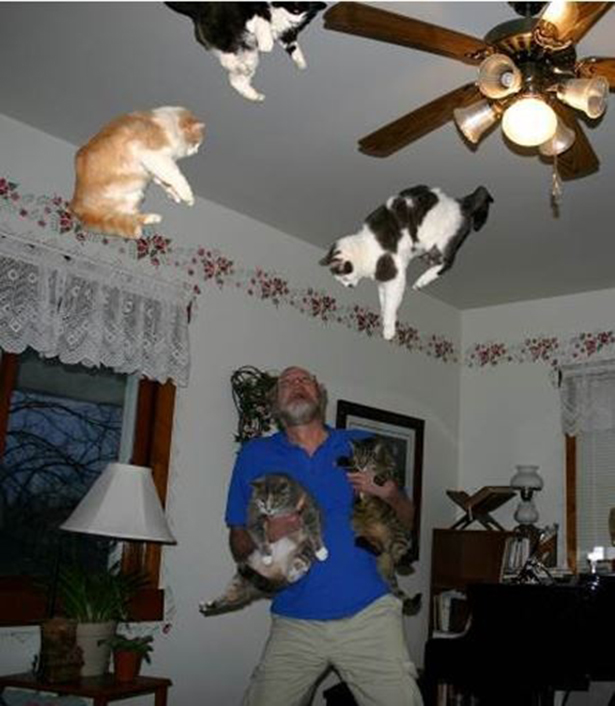 Yes! Fly my pretty kitties! Fly!