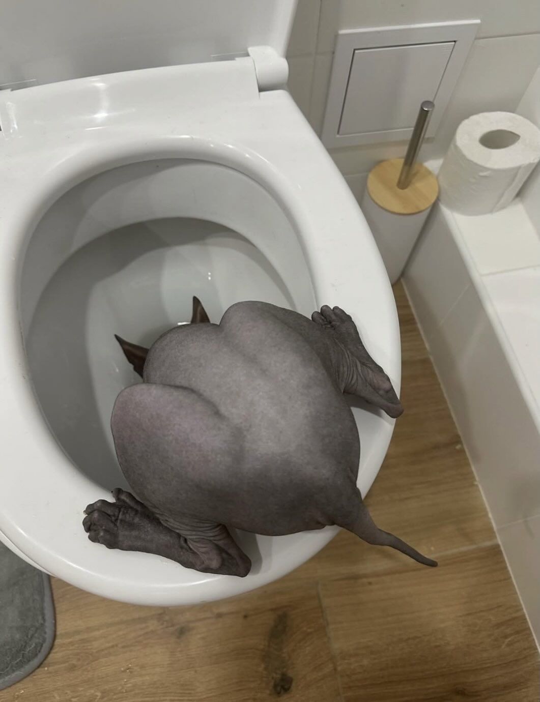 Nihlus