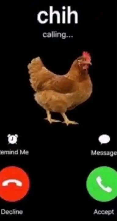 What you doing?