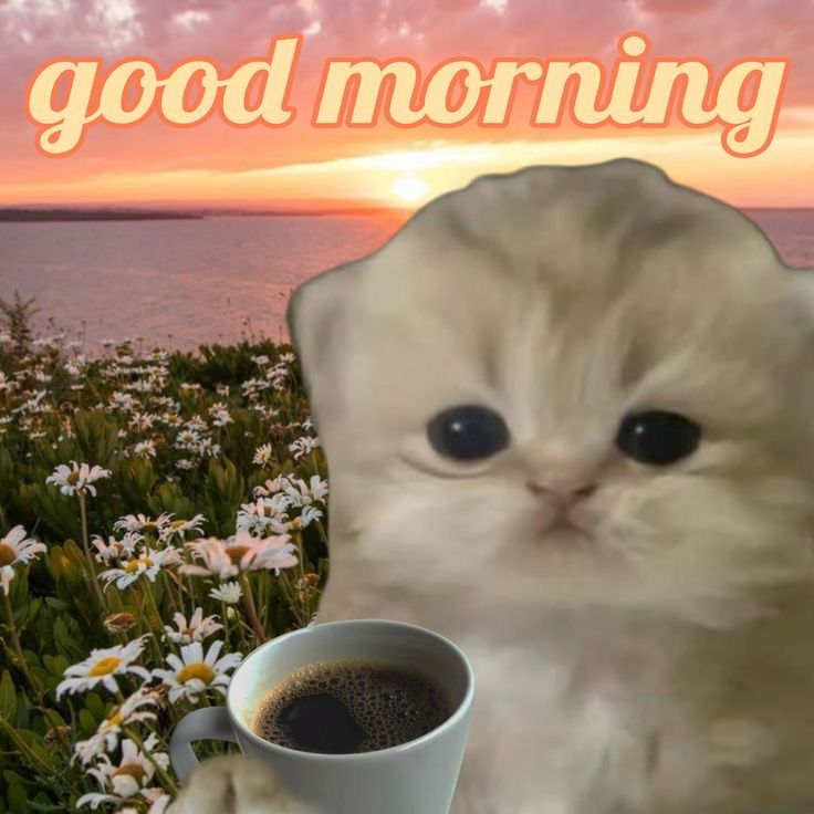 GM HL