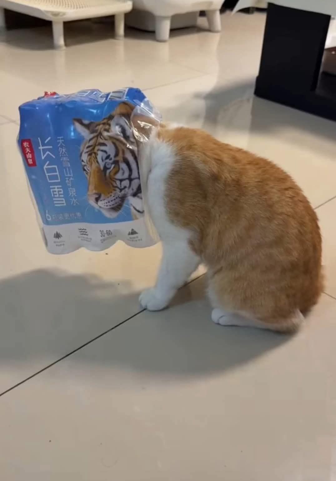 When you lie on your resume