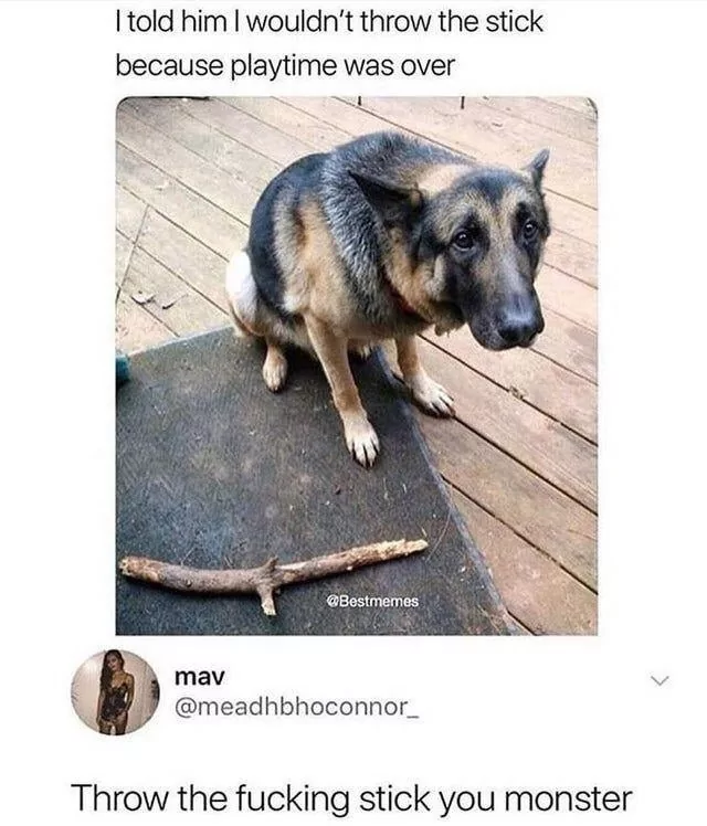 ​​​