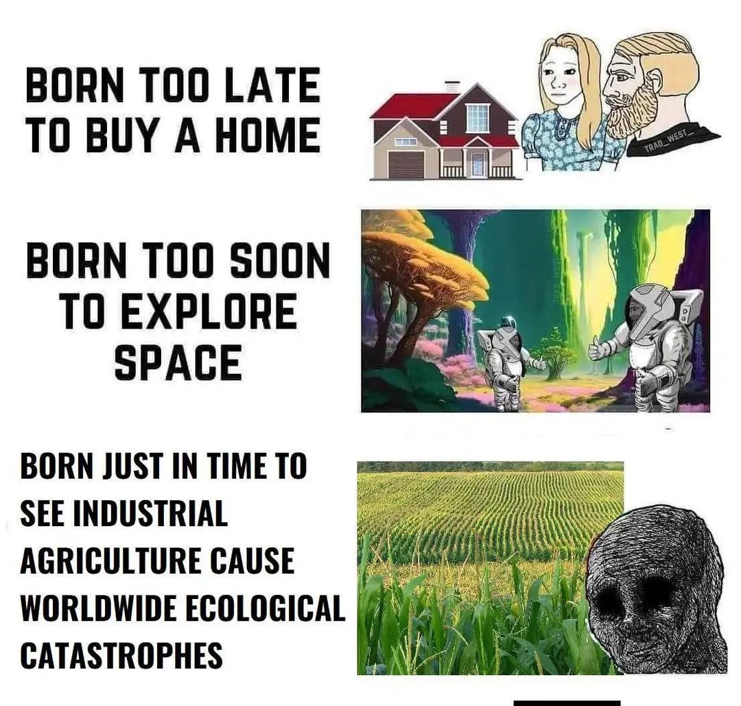 love gmo