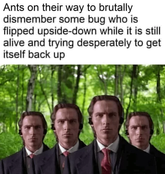 ​​​