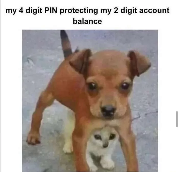 ​​​