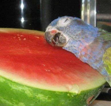 Im starting my new job tomorrow