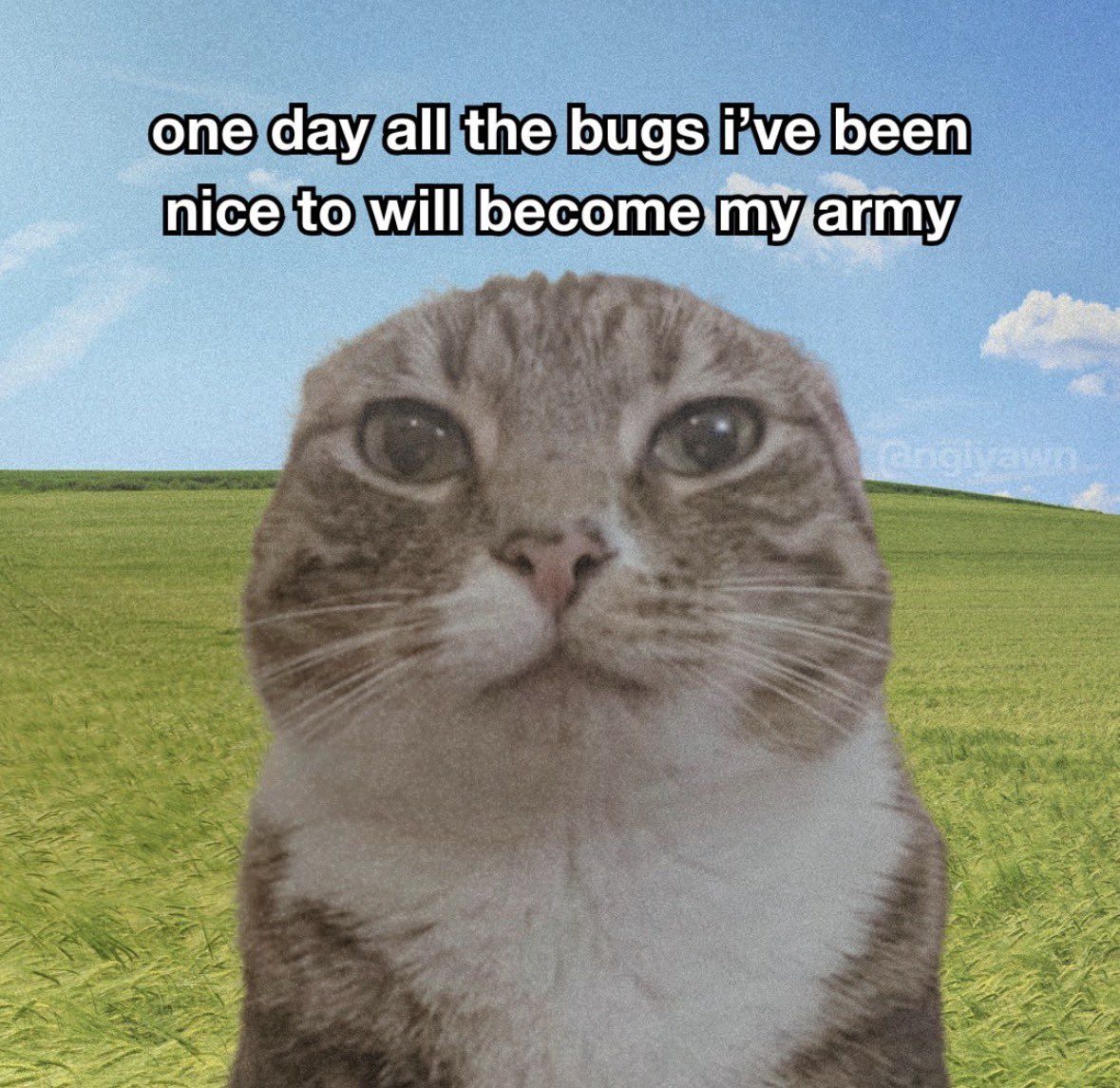 gnㅤ