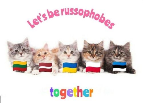 This post made me think of a certain user :*
