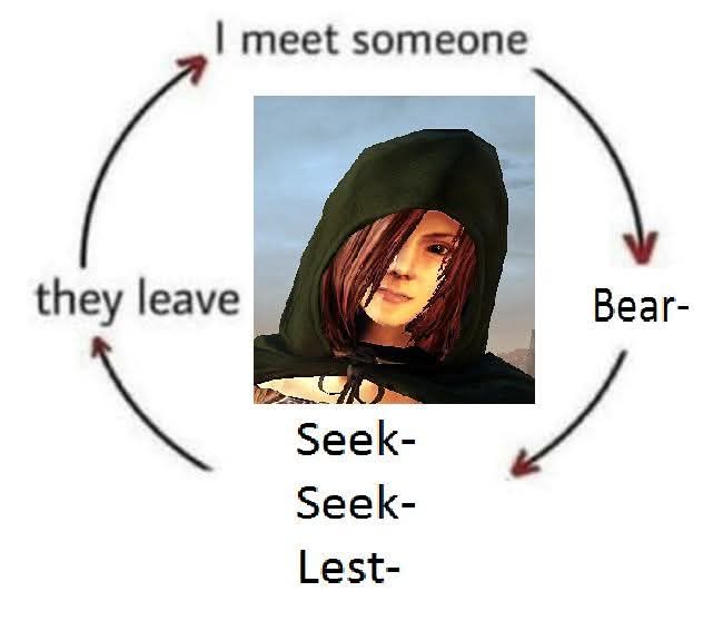 Bear seek