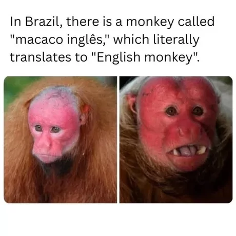 ​​​