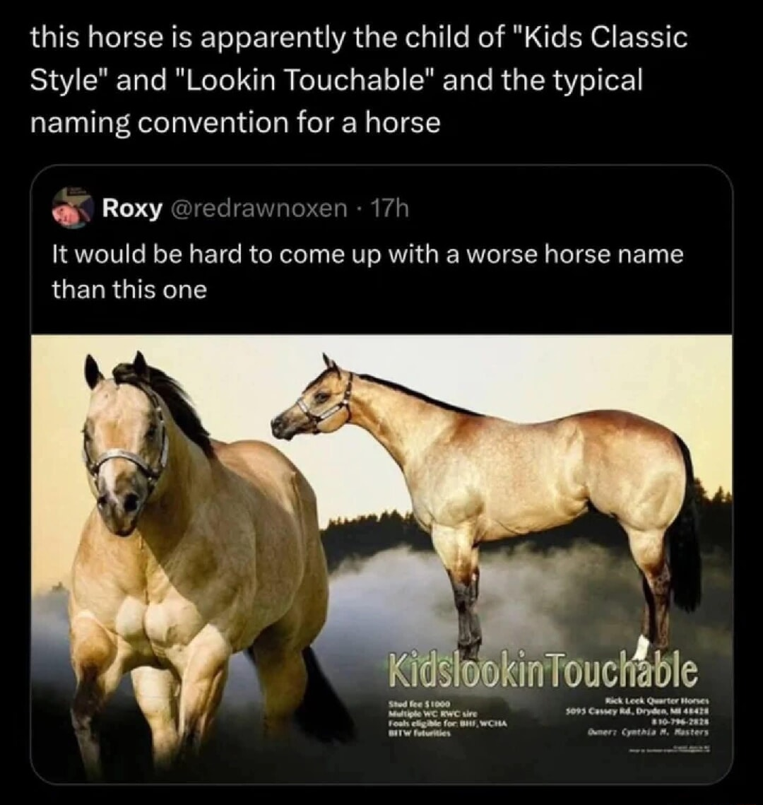 ​​​