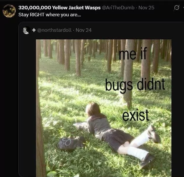 ​​​