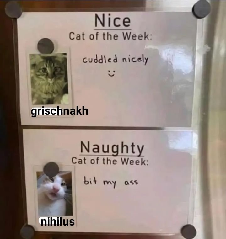 Community post