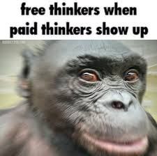 Post free Monkey meme on funky munky Saturday!